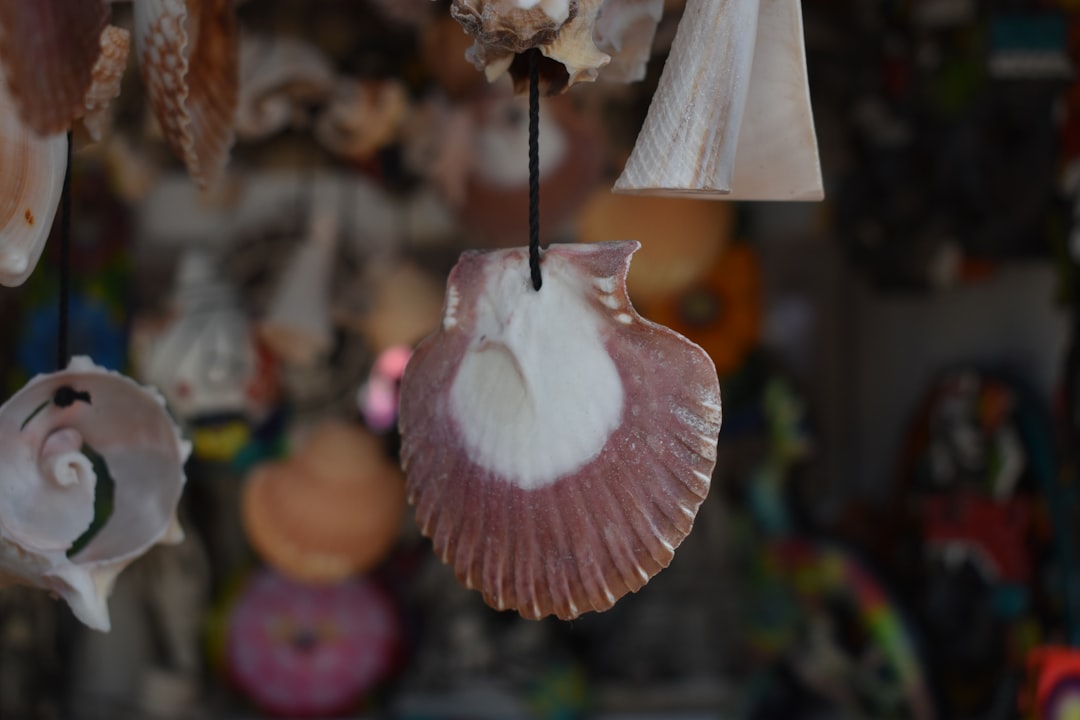 Photo seashell chandelier