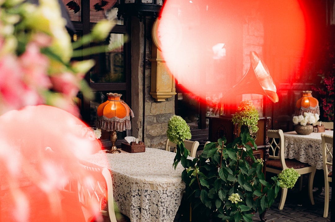 Photo patio lamp
